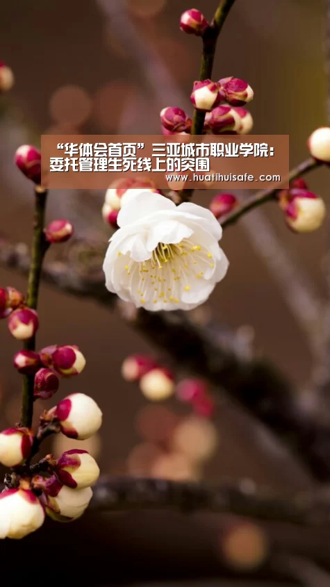 华体会登录入口