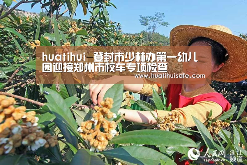 华体会登录入口